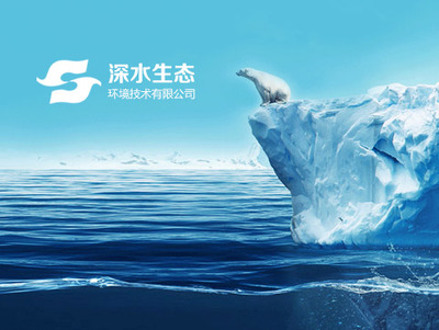 網(wǎng)站建設(shè) 從規(guī)劃到上線的全面指南