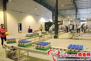 河北光明食品集團臨西縣食用菌工廠化建設項目圓滿竣工，助力現代農業發展